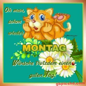 Bilder Zum Montag Nachmittag