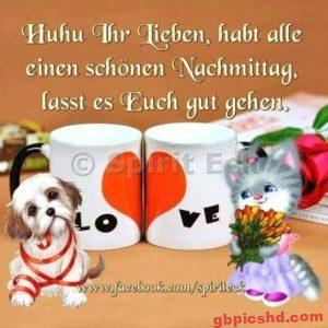 Bilder Zum Nachmittag Lustig