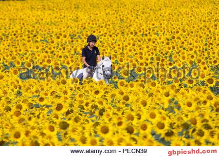 Dienstag Nachmittag Bilder 75 for Dienstag Nachmittag Bilder