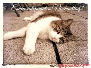 Entspannten Nachmittag Bilder