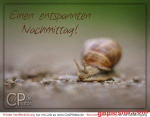 Entspannten Nachmittag Bilder