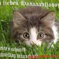 Entspannten Nachmittag Bilder