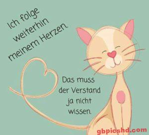 Entspannten Nachmittag Bilder