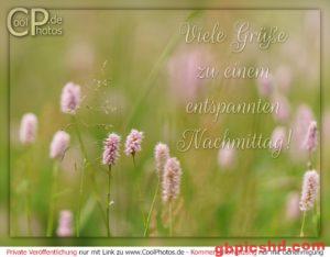 Entspannten Nachmittag Bilder