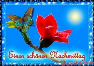 Freitag Nachmittag Bilder Gif