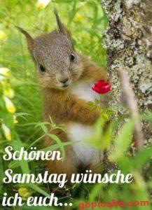 Gb Bilder Samstag Nachmittag