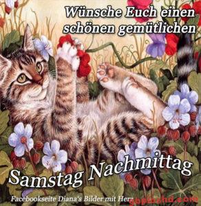 Gb Bilder Samstag Nachmittag