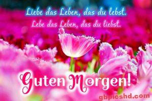 Gute Nachmittag Bilder
