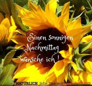 Gute Nachmittag Bilder