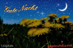 Gute Nacht Bilder Animiert