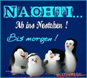 Gute Nacht Bilder Kostenlos Lustig
