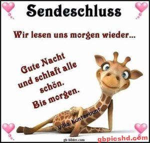 Gute Nacht Bilder Kostenlos Lustig