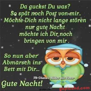 Gute Nacht Bilder Kostenlos Lustig