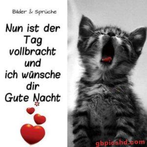 Gute Nacht Bilder Liebe
