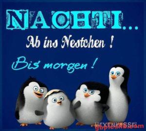 Gute Nacht Bilder Lustig Neu