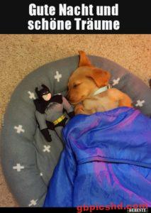 Gute Nacht Bilder Lustig Neu