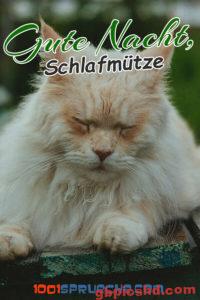 Gute Nacht Bilder Lustig Neu