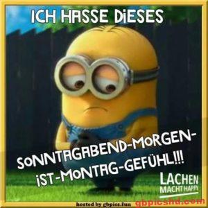 Gute Nacht Bilder Lustig Neu