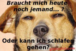 Gute Nacht Bilder Lustig Neu