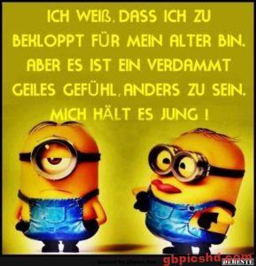 Gute Nacht Bilder Lustig Neu