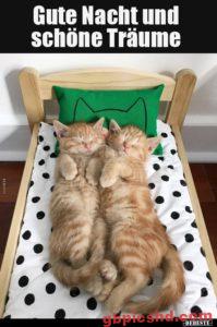 Gute Nacht Bilder Lustig Neu