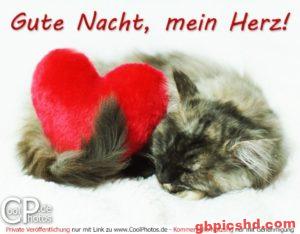 Gute Nacht Bilder Mit Herz