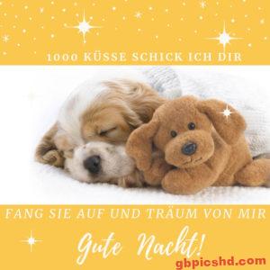 Gute Nacht Bilder Whatsapp