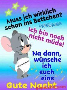Gute Nacht Bilder Whatsapp