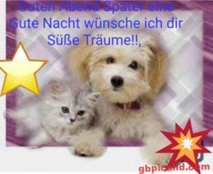 Gute Nacht Bilder Whatsapp