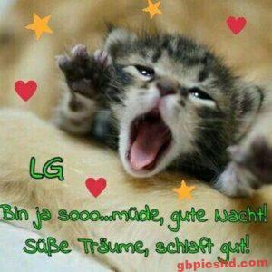Gute Nacht Bilder Whatsapp