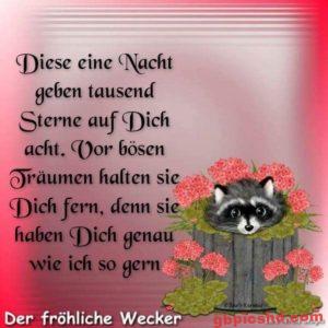 Guten Nachmittag Blingee Bilder