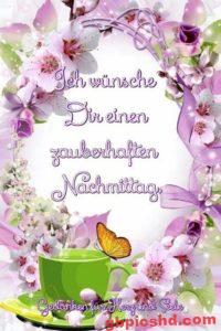 Kostenlose Nachmittag Bilder