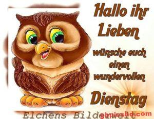 Lustige Bilder Dienstag Nachmittag