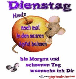 Lustige Bilder Dienstag Nachmittag