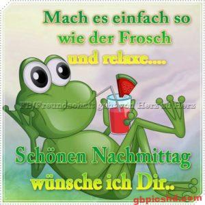 Lustige Bilder Montag Nachmittag