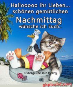 Lustige Bilder Montag Nachmittag