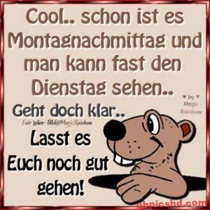 Lustige Bilder Montag Nachmittag