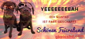 Lustige Bilder Montag Nachmittag