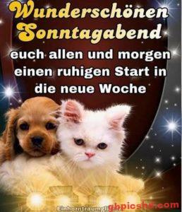 Lustige Bilder Sonntag Nachmittag