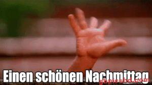 Lustige Bilder Zum Nachmittag Kostenlos