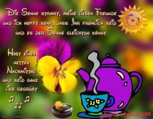 Lustige Nachmittag Bilder