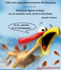 Lustige Nachmittag Bilder