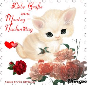 Montag Nachmittag Bilder Gif
