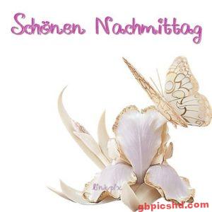 Nachmittag Bilder Dreamies