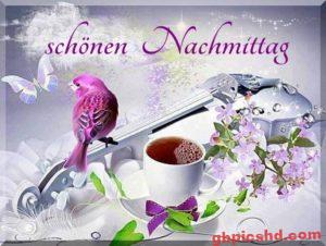 Nachmittag Bilder Dreamies