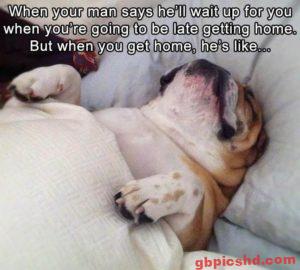 Nachmittag Bilder Lustig