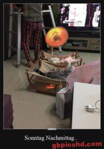 Nachmittag Bilder Lustig