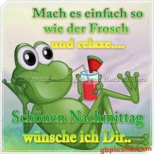 Nachmittag Lustige Bilder