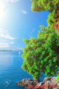 Romantische Nachmittag Bilder