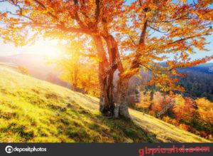 Sonnigen Nachmittag Bilder 60 with Sonnigen Nachmittag Bilder